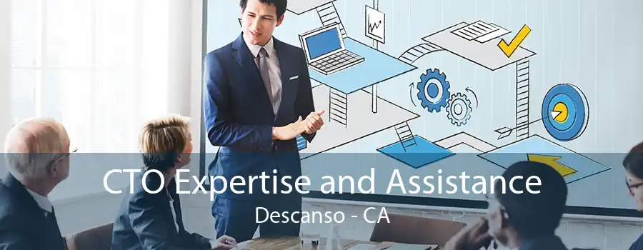 CTO Expertise and Assistance Descanso - CA