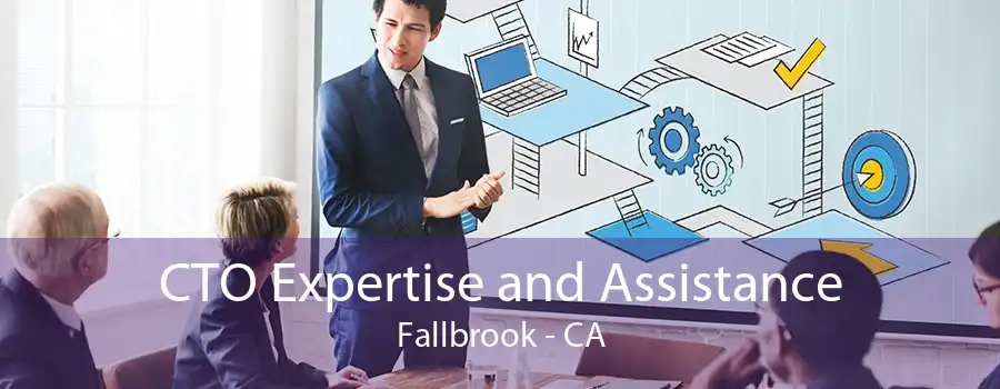 CTO Expertise and Assistance Fallbrook - CA