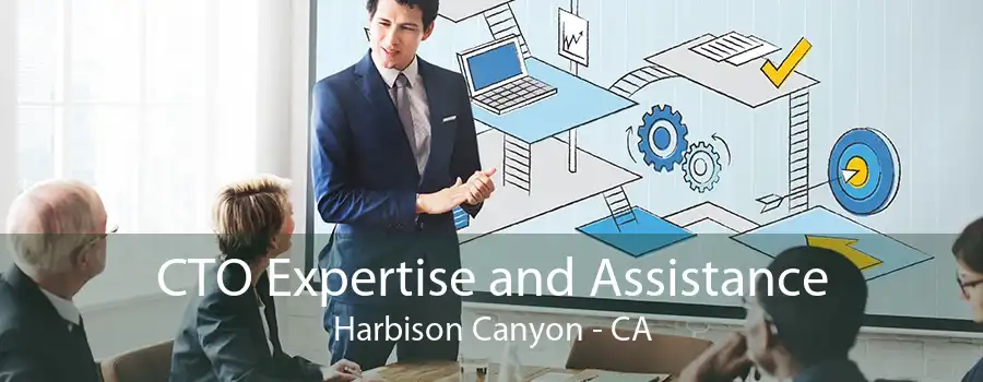 CTO Expertise and Assistance Harbison Canyon - CA