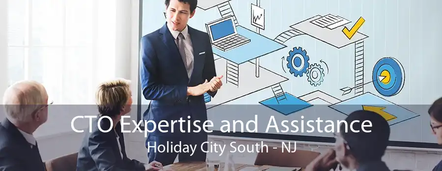 CTO Expertise and Assistance Holiday City South - NJ