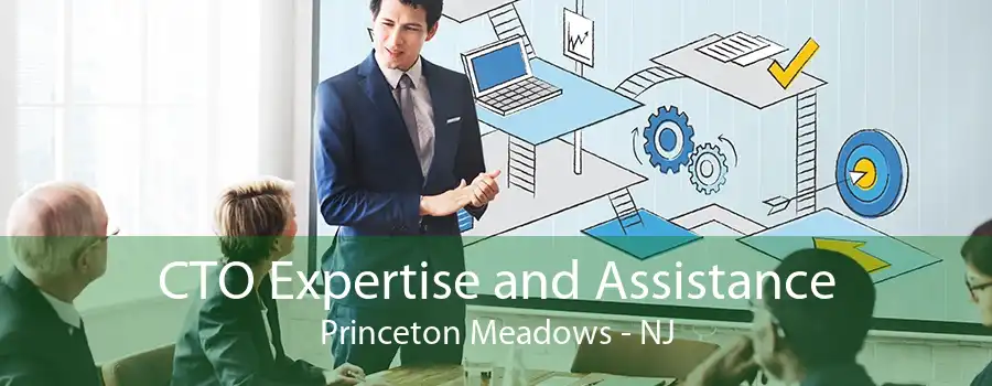 CTO Expertise and Assistance Princeton Meadows - NJ