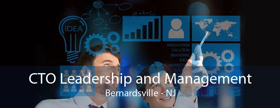 CTO Leadership and Management Bernardsville - NJ