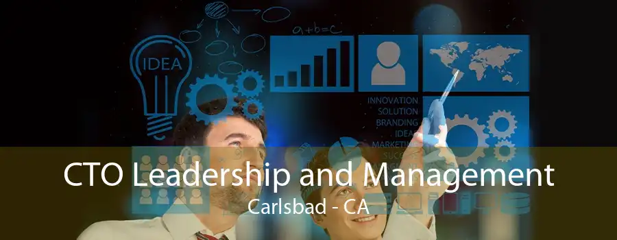 CTO Leadership and Management Carlsbad - CA