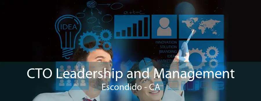 CTO Leadership and Management Escondido - CA