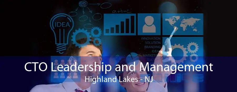 CTO Leadership and Management Highland Lakes - NJ