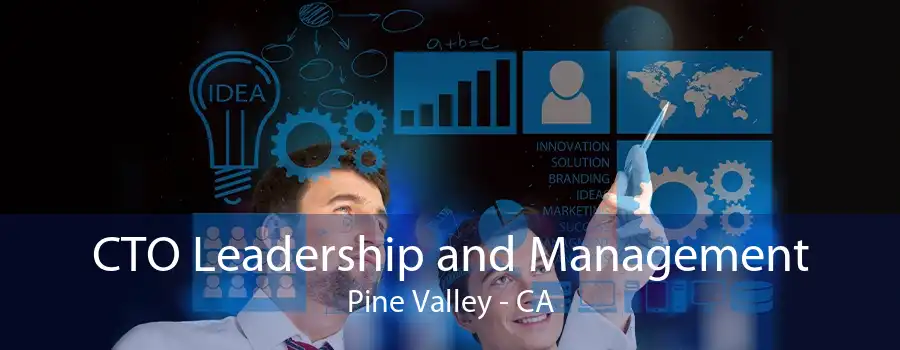 CTO Leadership and Management Pine Valley - CA