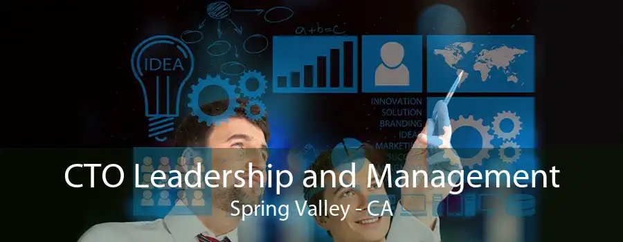 CTO Leadership and Management Spring Valley - CA