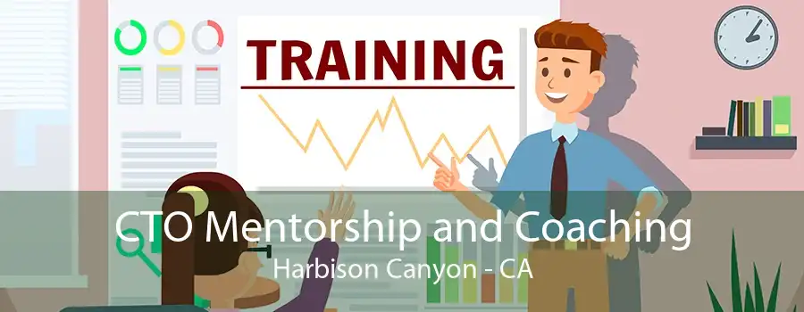 CTO Mentorship and Coaching Harbison Canyon - CA