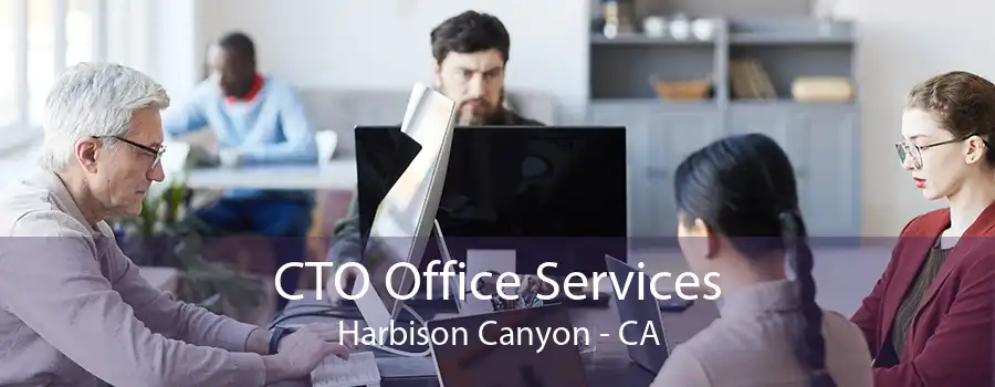 CTO Office Services Harbison Canyon - CA