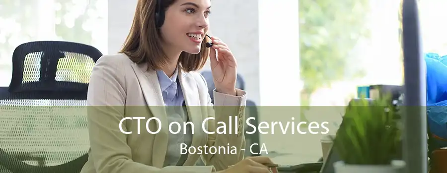 CTO on Call Services Bostonia - CA