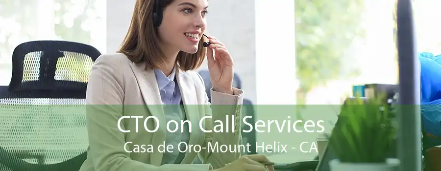 CTO on Call Services Casa de Oro-Mount Helix - CA