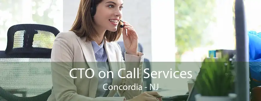 CTO on Call Services Concordia - NJ