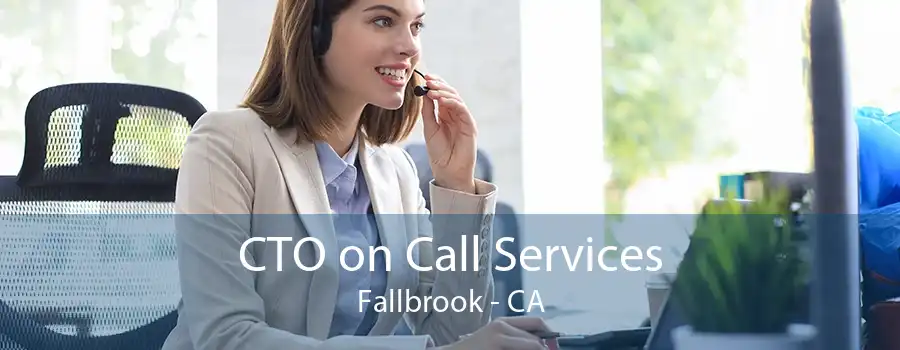 CTO on Call Services Fallbrook - CA