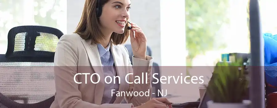 CTO on Call Services Fanwood - NJ