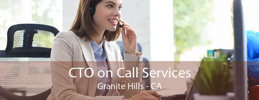 CTO on Call Services Granite Hills - CA