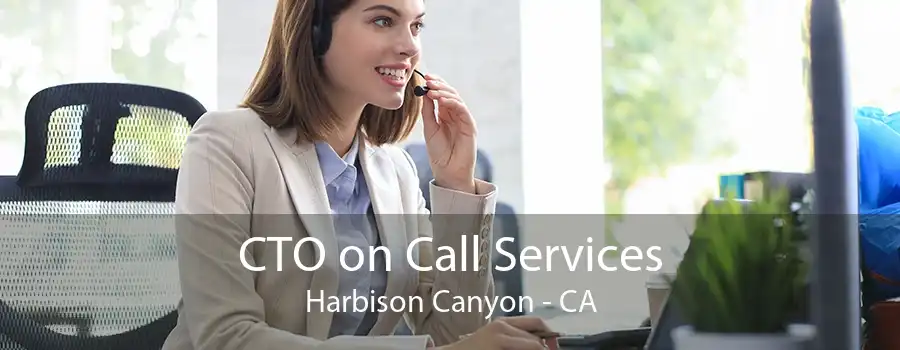 CTO on Call Services Harbison Canyon - CA