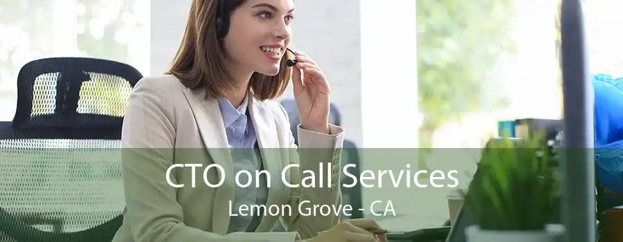 CTO on Call Services Lemon Grove - CA