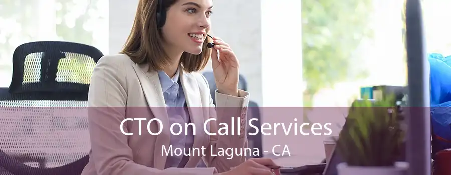 CTO on Call Services Mount Laguna - CA