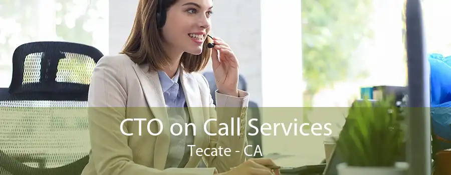 CTO on Call Services Tecate - CA