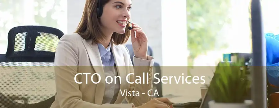 CTO on Call Services Vista - CA