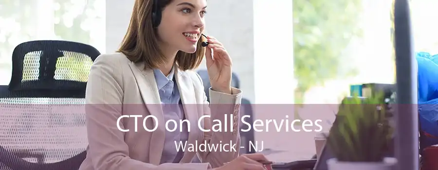 CTO on Call Services Waldwick - NJ