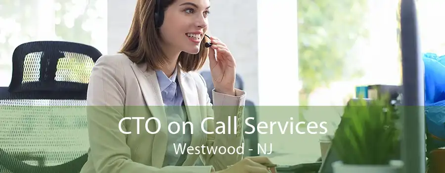 CTO on Call Services Westwood - NJ