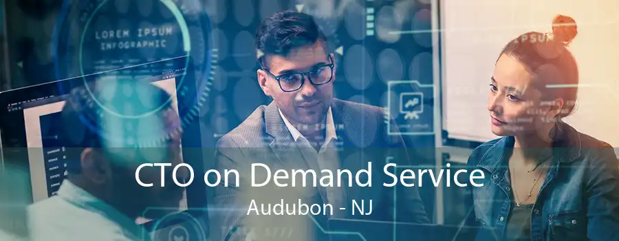 CTO on Demand Service Audubon - NJ