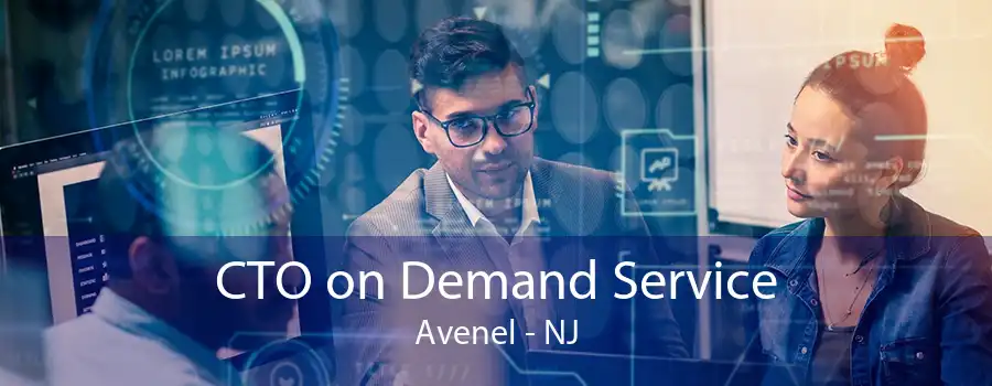 CTO on Demand Service Avenel - NJ