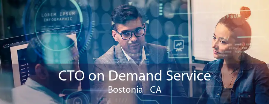 CTO on Demand Service Bostonia - CA