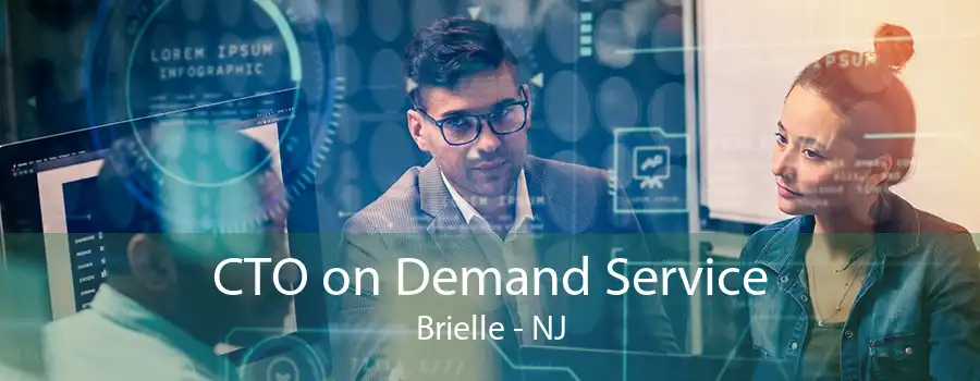 CTO on Demand Service Brielle - NJ