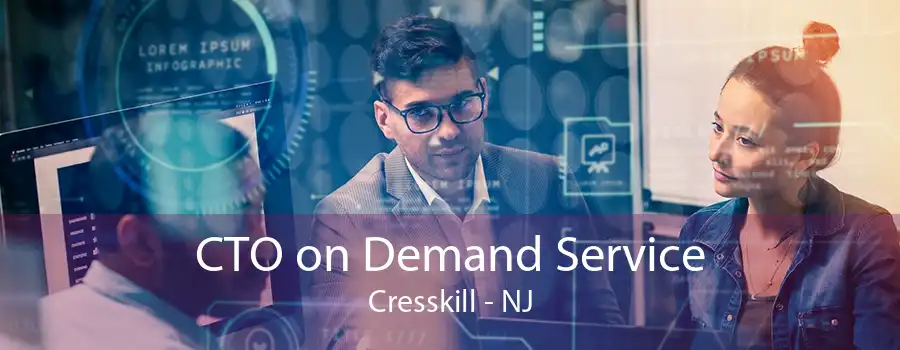 CTO on Demand Service Cresskill - NJ