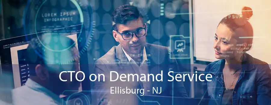 CTO on Demand Service Ellisburg - NJ