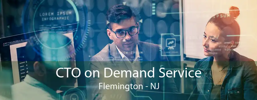 CTO on Demand Service Flemington - NJ