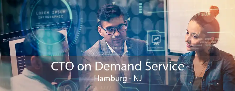 CTO on Demand Service Hamburg - NJ