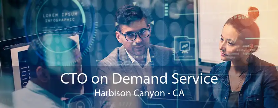 CTO on Demand Service Harbison Canyon - CA