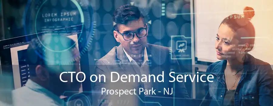 CTO on Demand Service Prospect Park - NJ