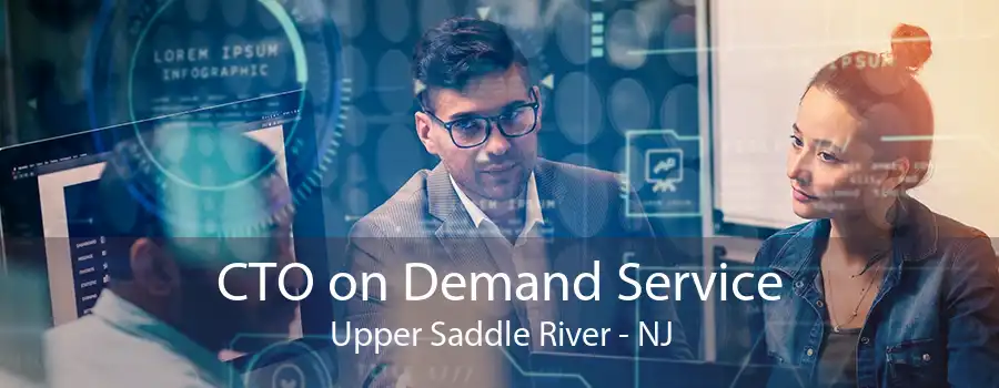 CTO on Demand Service Upper Saddle River - NJ