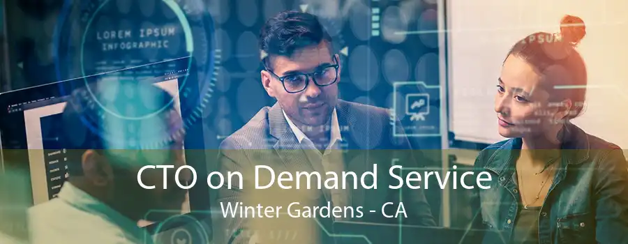 CTO on Demand Service Winter Gardens - CA