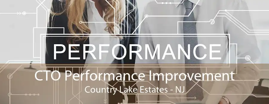 CTO Performance Improvement Country Lake Estates - NJ