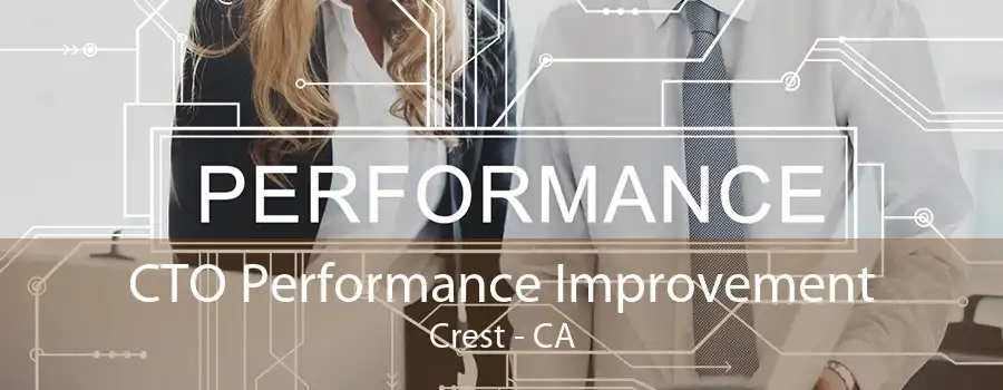 CTO Performance Improvement Crest - CA