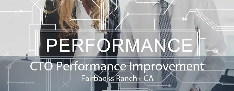 CTO Performance Improvement Fairbanks Ranch - CA