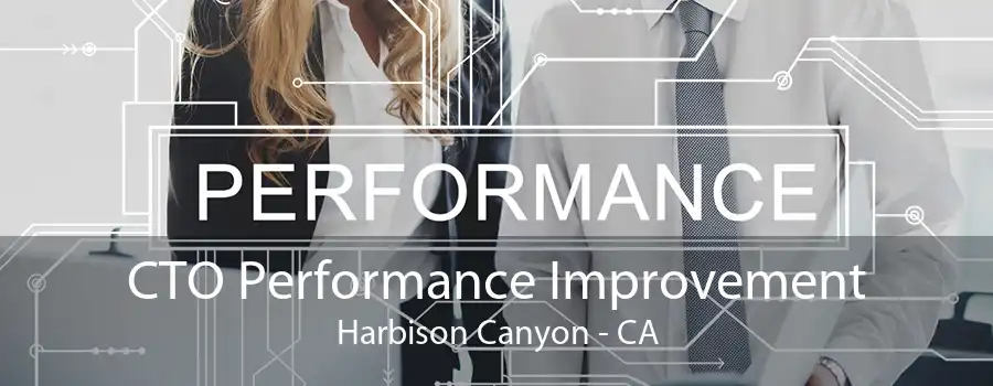 CTO Performance Improvement Harbison Canyon - CA