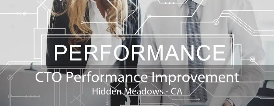 CTO Performance Improvement Hidden Meadows - CA