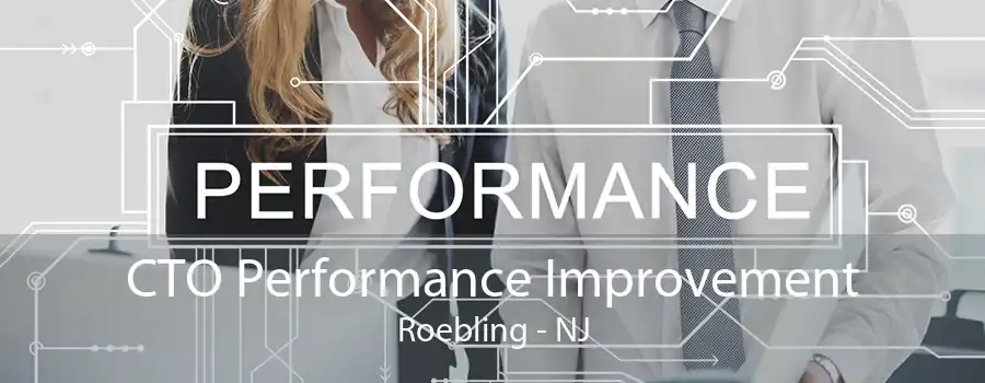 CTO Performance Improvement Roebling - NJ