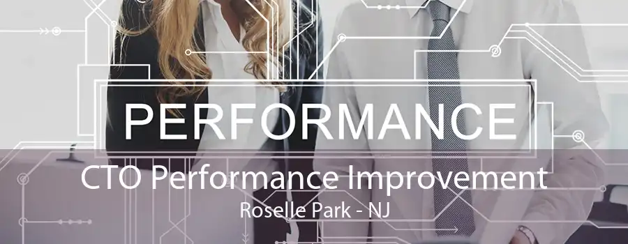 CTO Performance Improvement Roselle Park - NJ