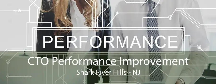 CTO Performance Improvement Shark River Hills - NJ