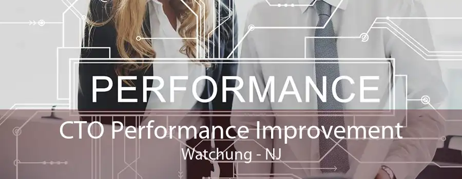 CTO Performance Improvement Watchung - NJ