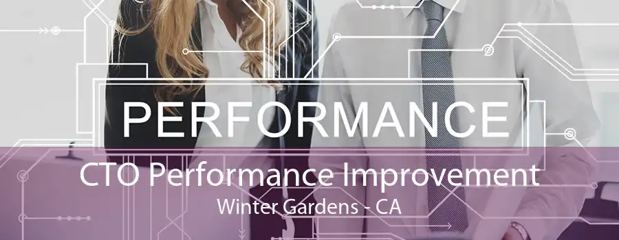 CTO Performance Improvement Winter Gardens - CA