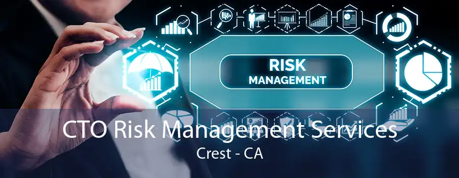 CTO Risk Management Services Crest - CA