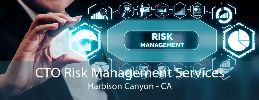 CTO Risk Management Services Harbison Canyon - CA